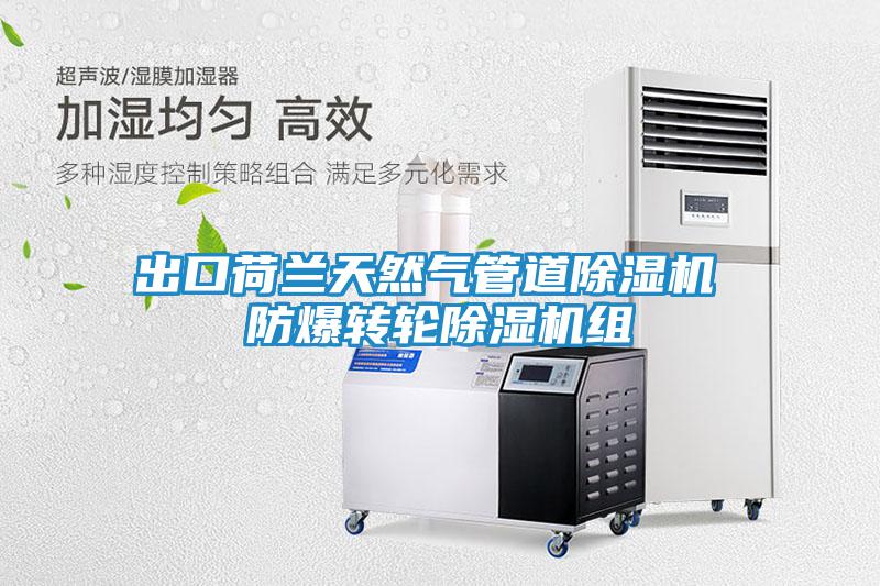 出口荷蘭天然氣管道除濕機(jī) 防爆轉(zhuǎn)輪除濕機(jī)組