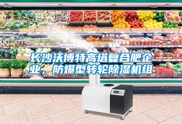 長沙沃博特高塔復合肥企業，防爆型轉輪除濕機組