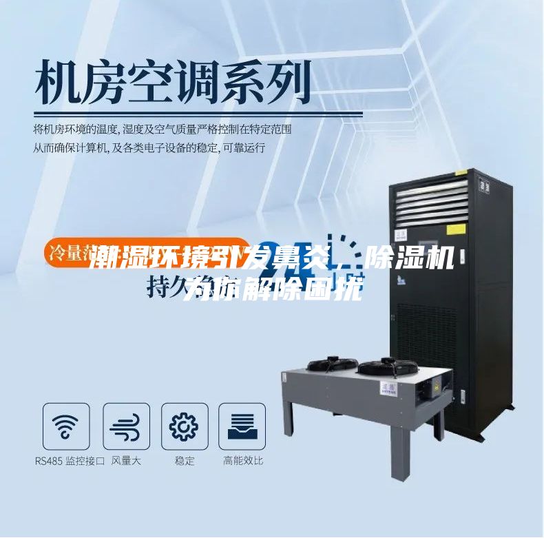 潮濕環境引發鼻炎，除濕機為你解除困擾
