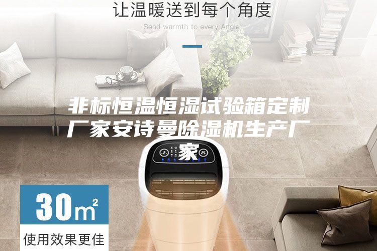 非標(biāo)恒溫恒濕試驗(yàn)箱定制廠(chǎng)家安詩(shī)曼除濕機(jī)生產(chǎn)廠(chǎng)家