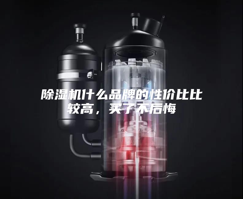 除濕機什么品牌的性價比比較高，買了不后悔