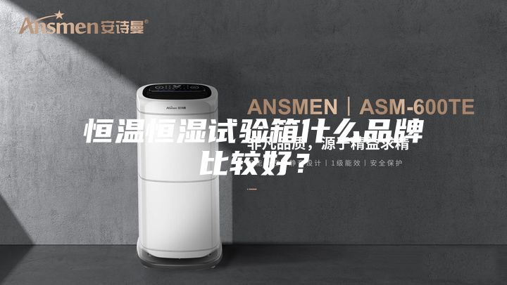 恒溫恒濕試驗(yàn)箱什么品牌比較好？