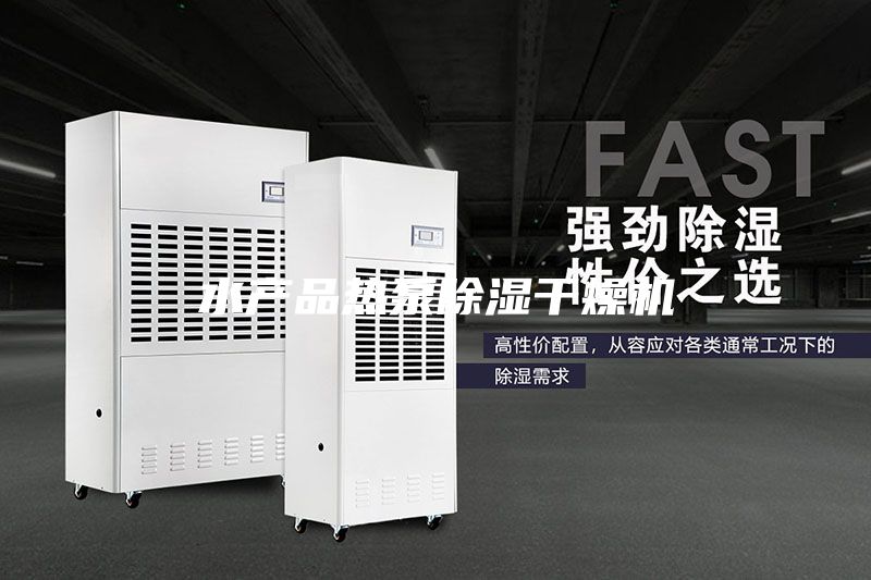 水產品熱泵除濕干燥機