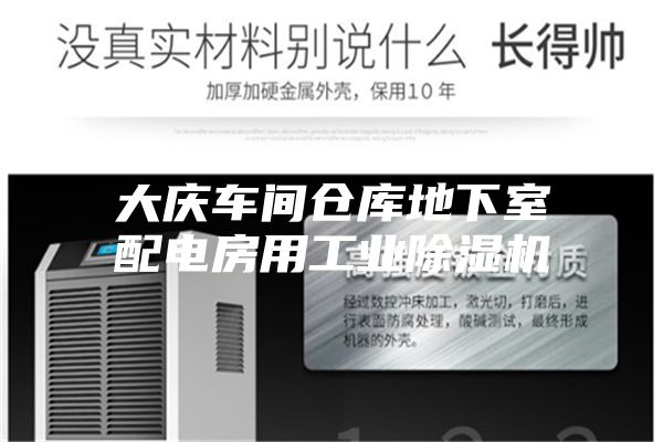 大慶車間倉庫地下室配電房用工業除濕機