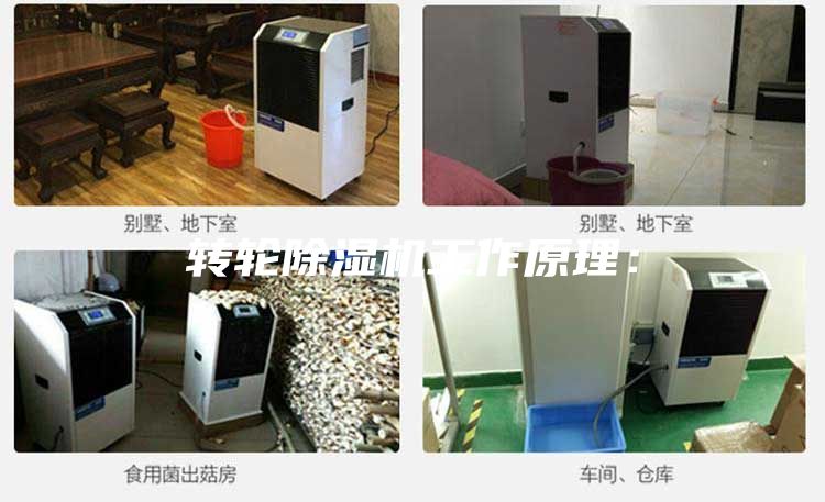 轉輪除濕機工作原理: