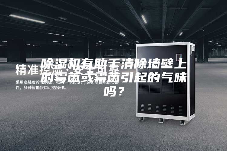 除濕機(jī)有助于清除墻壁上的霉菌或霉菌引起的氣味嗎?