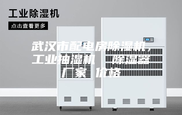武漢市配電房除濕機(jī),工業(yè)抽濕機(jī) 除濕器廠家 價格