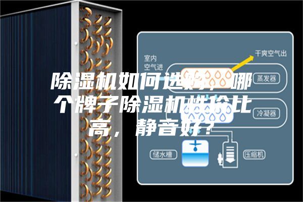 除濕機如何選購，哪個牌子除濕機性價比高，靜音好？