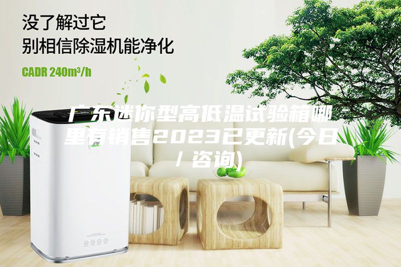 廣東迷你型高低溫試驗箱哪里有銷售2023已更新(今日/咨詢)