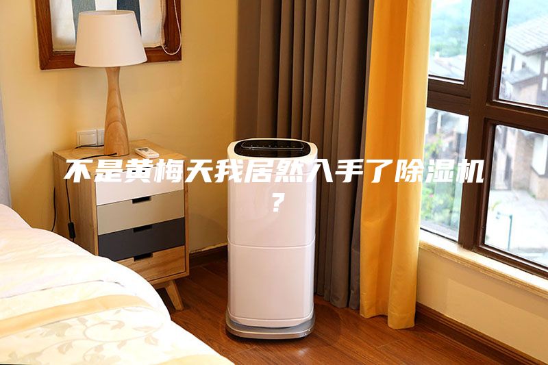 不是黃梅天我居然入手了除濕機(jī)？