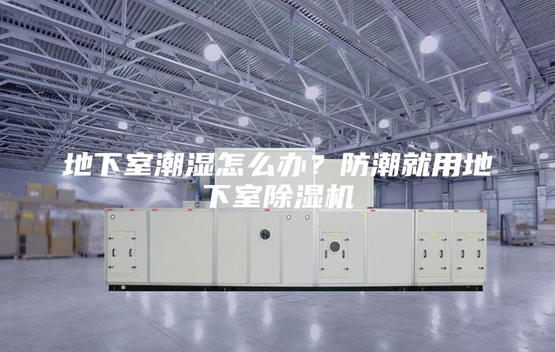 地下室潮濕怎么辦？防潮就用地下室除濕機