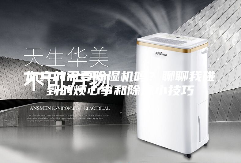 你真的需要除濕機(jī)嗎？聊聊我碰到的煩心事和除濕小技巧