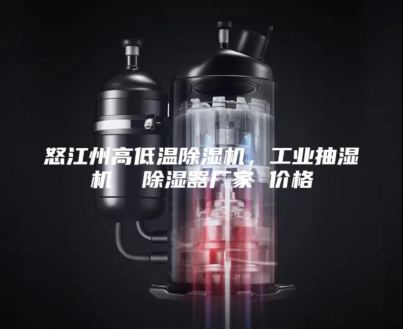 怒江州高低溫除濕機(jī)，工業(yè)抽濕機(jī)  除濕器廠家 價(jià)格
