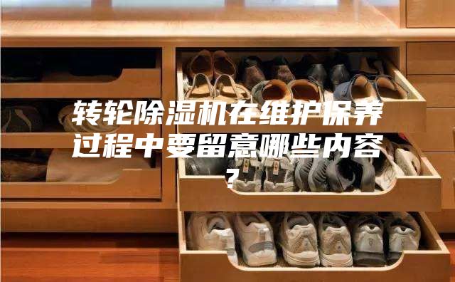 轉輪除濕機在維護保養過程中要留意哪些內容？