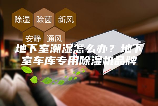 地下室潮濕怎么辦?地下室車庫專用除濕機品牌
