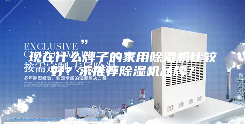現在什么牌子的家用除濕機比較好？求推薦除濕機品牌？