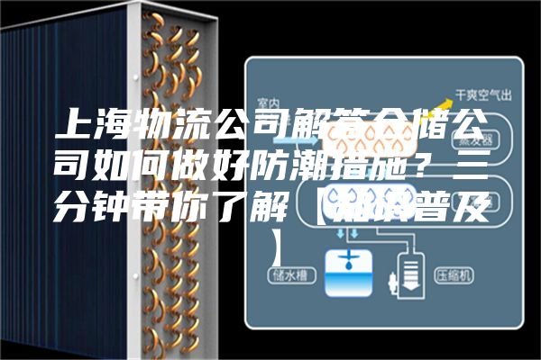 上海物流公司解答倉儲(chǔ)公司如何做好防潮措施？三分鐘帶你了解【知識(shí)普及】