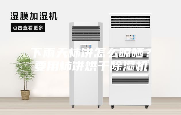 下雨天柿餅怎么晾曬？要用柿餅烘干除濕機