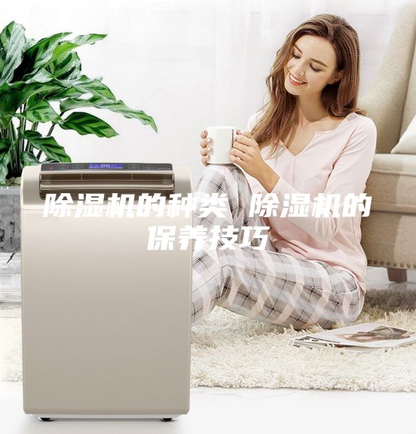除濕機(jī)的種類(lèi) 除濕機(jī)的保養(yǎng)技巧