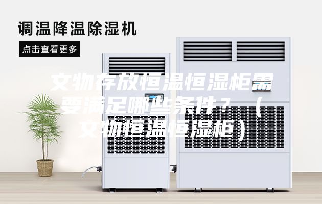 文物存放恒溫恒濕柜需要滿足哪些條件？（文物恒溫恒濕柜）