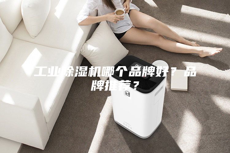 工業除濕機哪個品牌好？品牌推薦？
