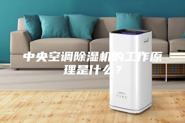 中央空調除濕機的工作原理是什么？