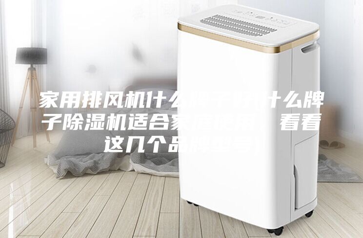 家用排風機什么牌子好(什么牌子除濕機適合家庭使用，看看這幾個品牌型號)