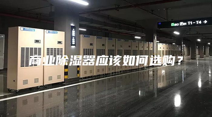商業除濕器應該如何選購？