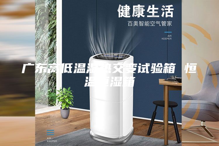 廣東高低溫濕熱交變試驗箱 恒溫恒濕箱