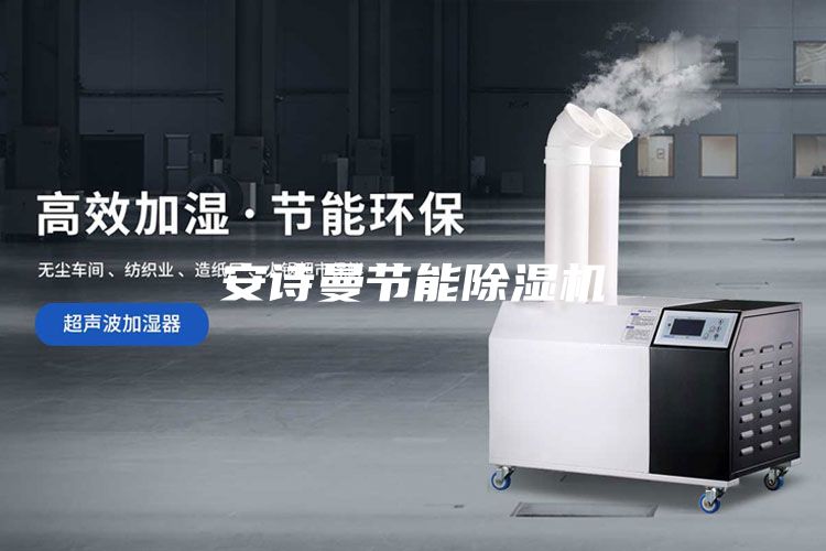 安詩曼節(jié)能除濕機(jī)