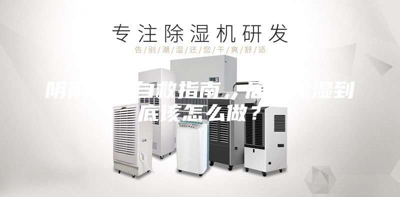 陰雨防潮自救指南，居家除濕到底該怎么做？