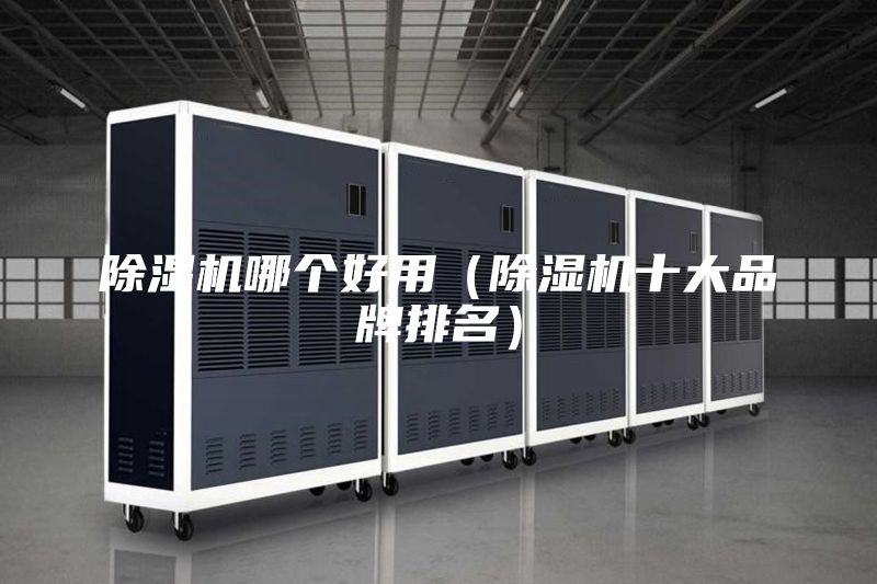 除濕機(jī)哪個好用（除濕機(jī)十大品牌排名）