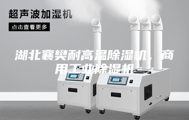 湖北襄樊耐高溫除濕機(jī)，商用工業(yè)除濕機(jī)