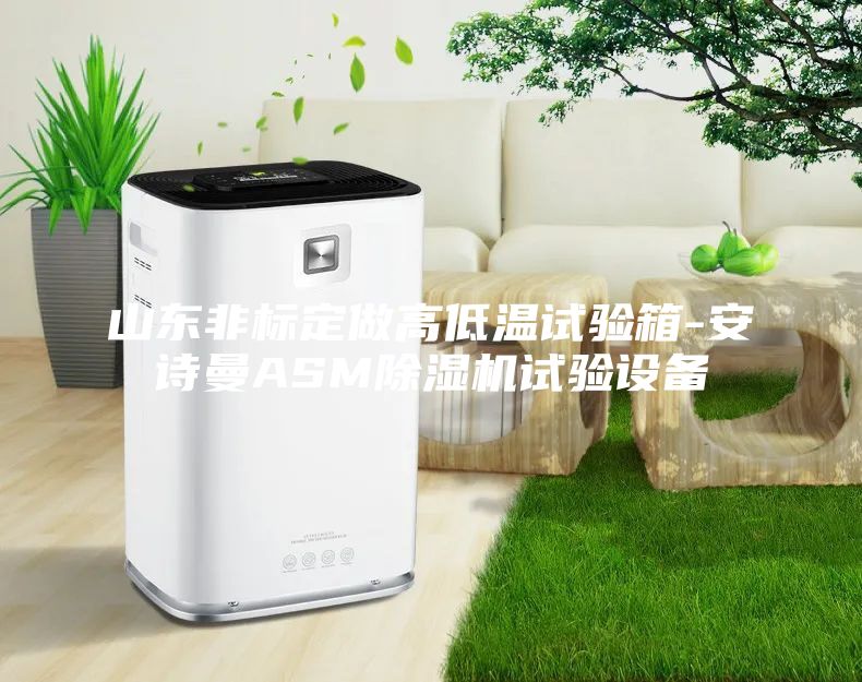 山東非標(biāo)定做高低溫試驗箱-安詩曼ASM除濕機(jī)試驗設(shè)備