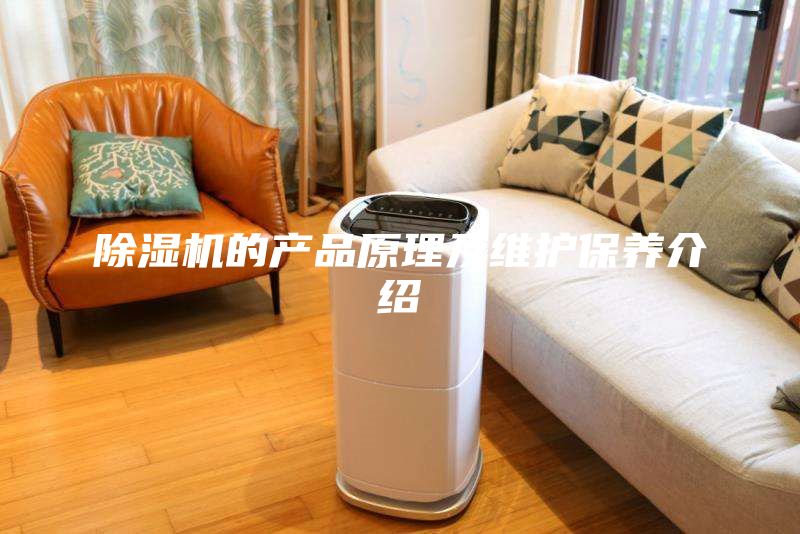 除濕機的產品原理及維護保養(yǎng)介紹