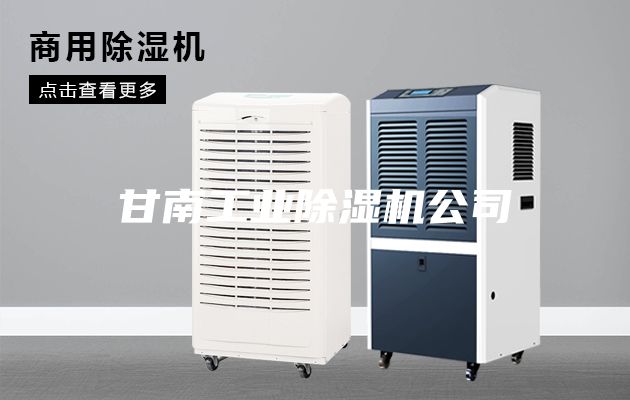 甘南工業除濕機公司