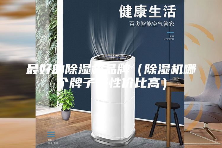 最好的除濕機(jī)品牌(除濕機(jī)哪個(gè)牌子好性價(jià)比高)