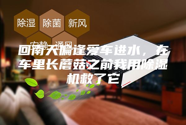 回南天偏逢愛車進水，在車里長蘑菇之前我用除濕機救了它