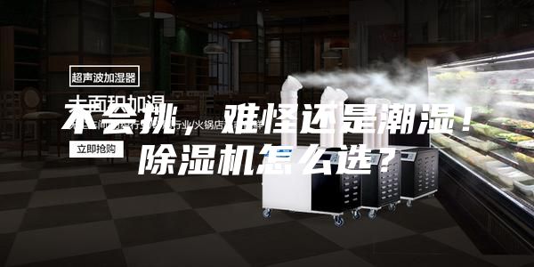 不會(huì)挑，難怪還是潮濕！除濕機(jī)怎么選？