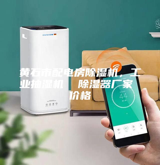 黃石市配電房除濕機(jī)，工業(yè)抽濕機(jī)  除濕器廠家 價(jià)格