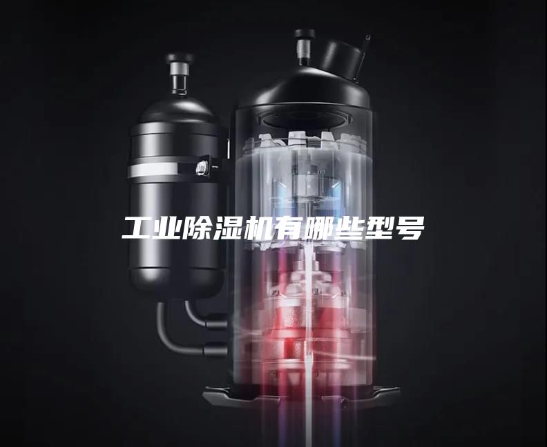 工業(yè)除濕機(jī)有哪些型號(hào)