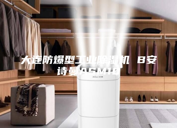 大連防爆型工業除濕機 B安詩曼ASM10