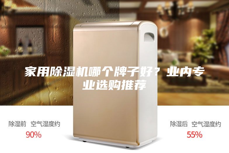 家用除濕機哪個牌子好？業(yè)內(nèi)專業(yè)選購?fù)扑]