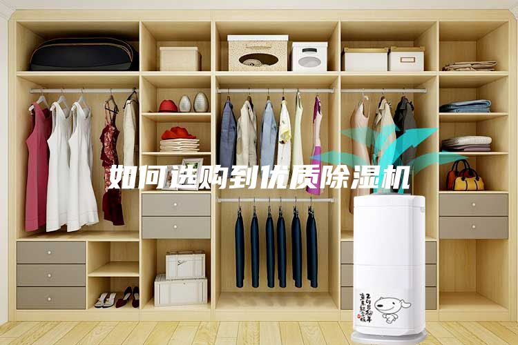 如何選購到優(yōu)質(zhì)除濕機(jī)