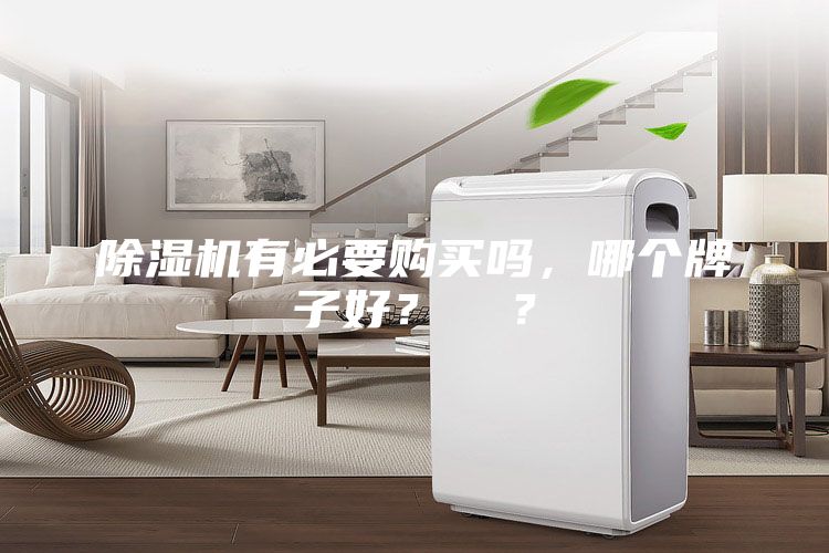 除濕機有必要購買嗎，哪個牌子好？  ？