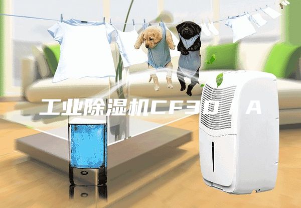 工業(yè)除濕機(jī)CF3D／A