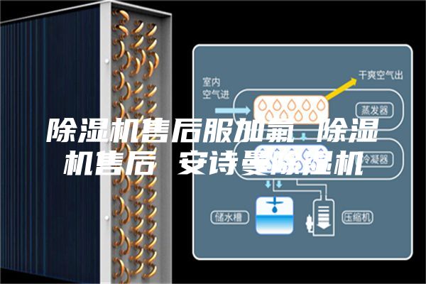 除濕機(jī)售后服加氟 除濕機(jī)售后 安詩(shī)曼除濕機(jī)