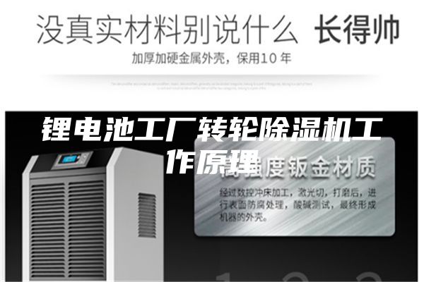 鋰電池工廠轉(zhuǎn)輪除濕機工作原理