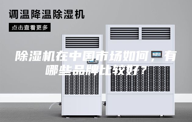 除濕機在中國市場如何，有哪些品牌比較好？