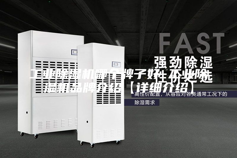 工業(yè)除濕機哪個牌子好 工業(yè)除濕機品牌介紹【詳細(xì)介紹】